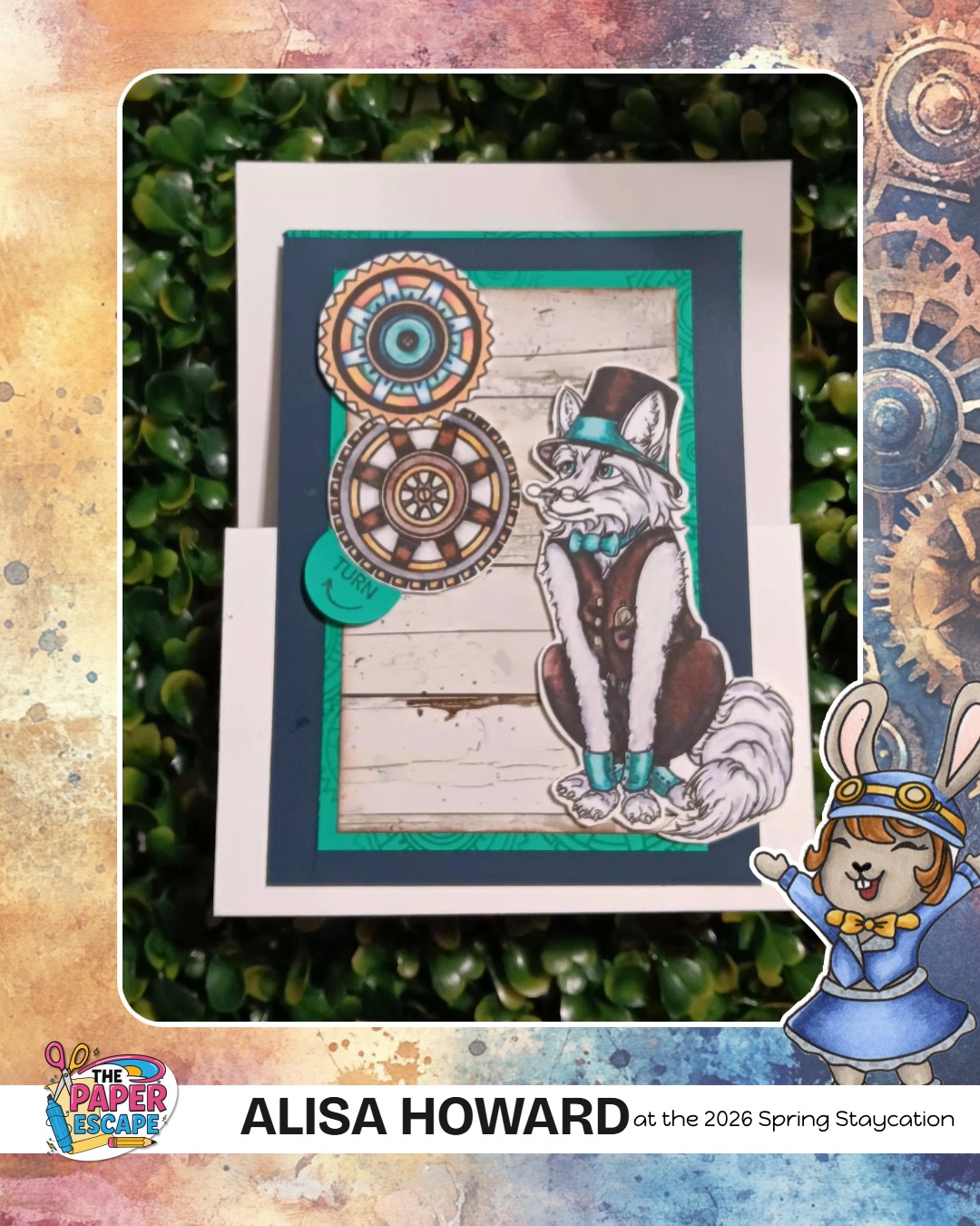 Project by ALISA HOWARD
